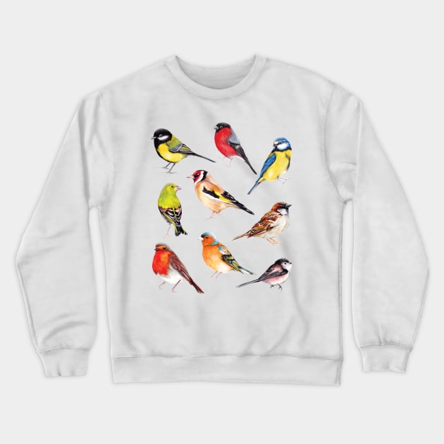 Watercolour Garden Birds Collection Crewneck Sweatshirt by AmandaDilworth